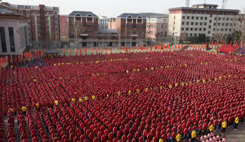 学习少林功夫去哪所少林武校,少林招生