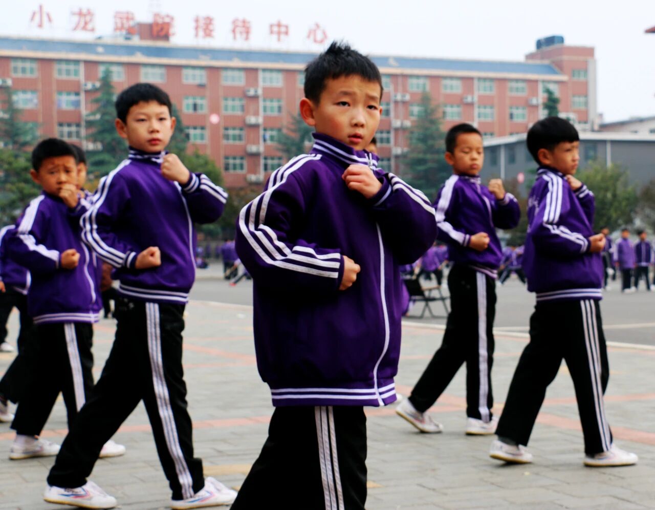 少林小龙武校:热爱为帆,手足为伴 新疆姐弟的仨月成长与逐梦路