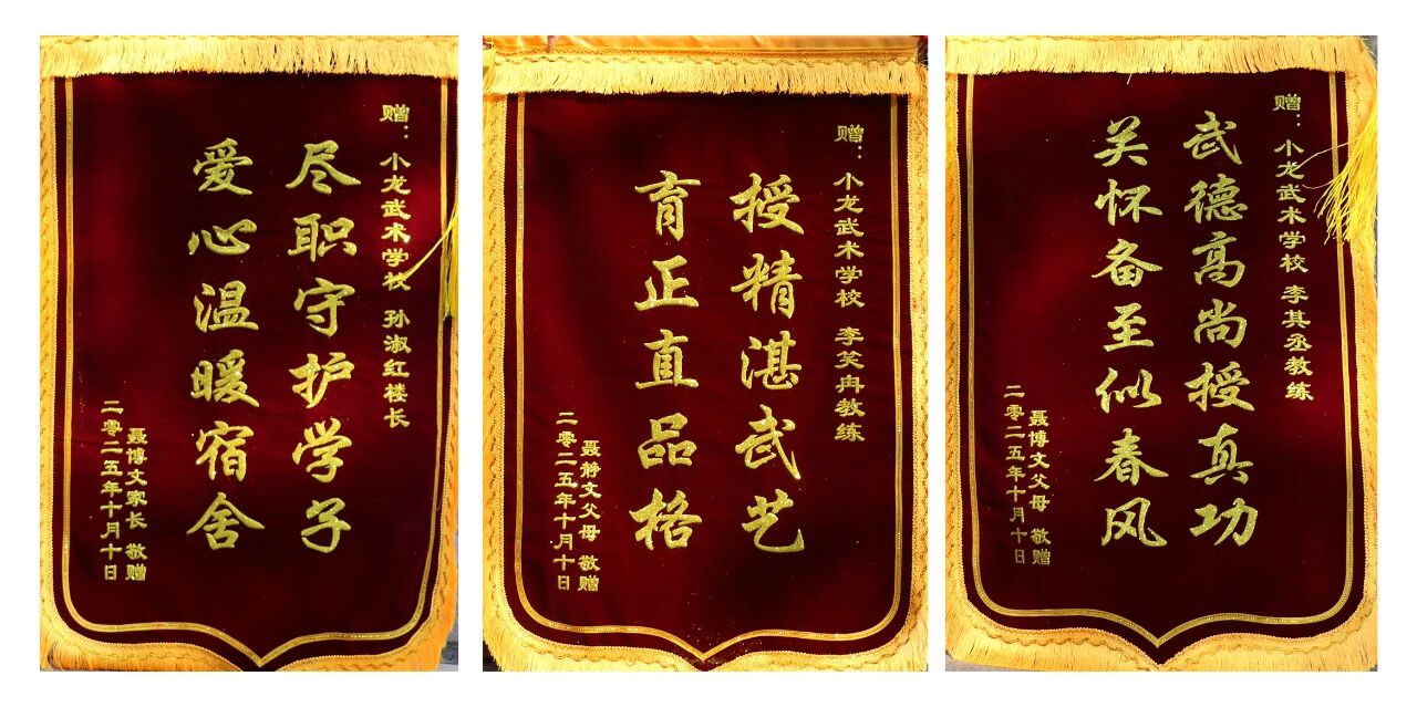 少林小龙武校:热爱为帆,手足为伴 新疆姐弟的仨月成长与逐梦路