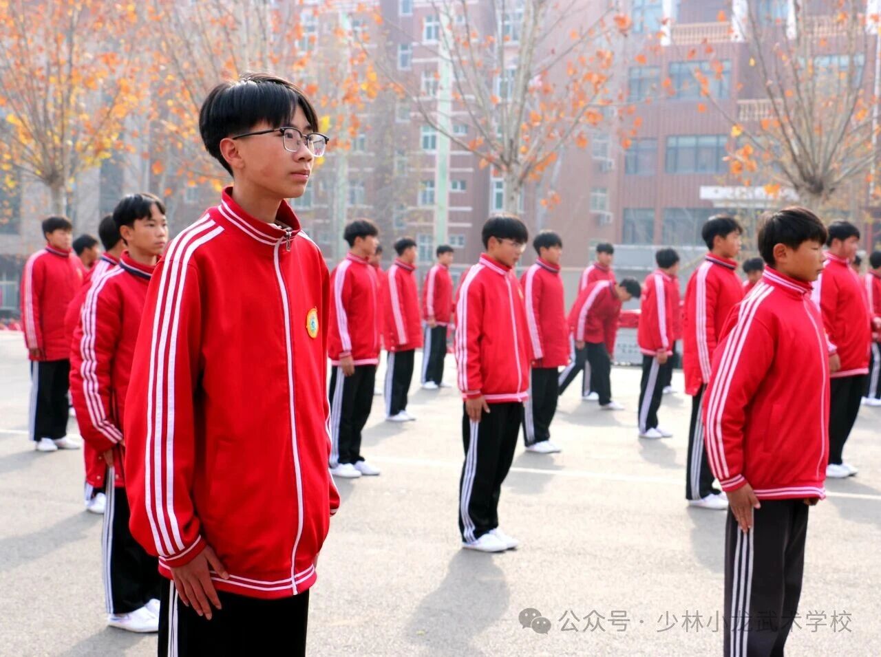 少林小龙武校