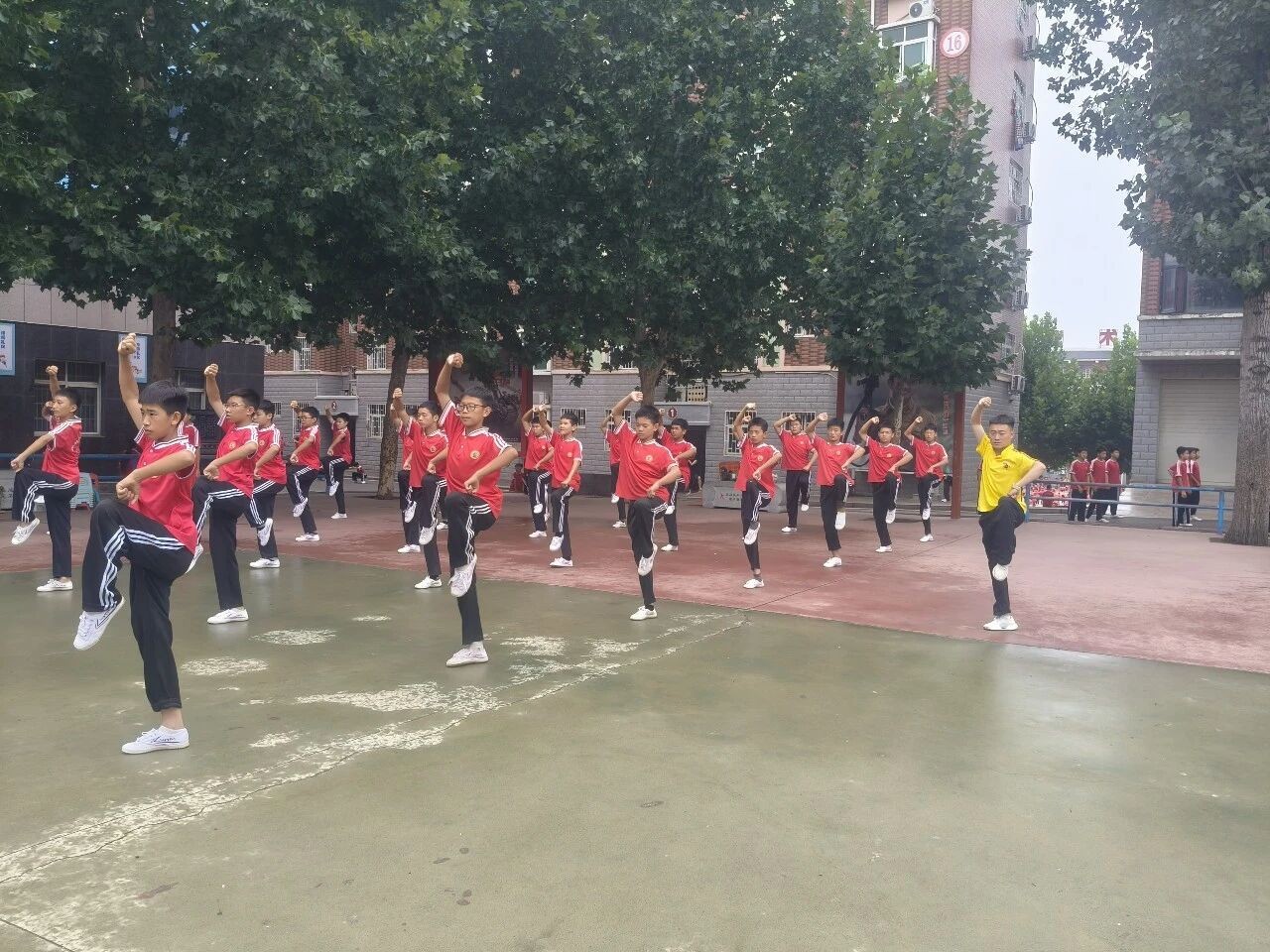 河南少林小龙武校教练高智