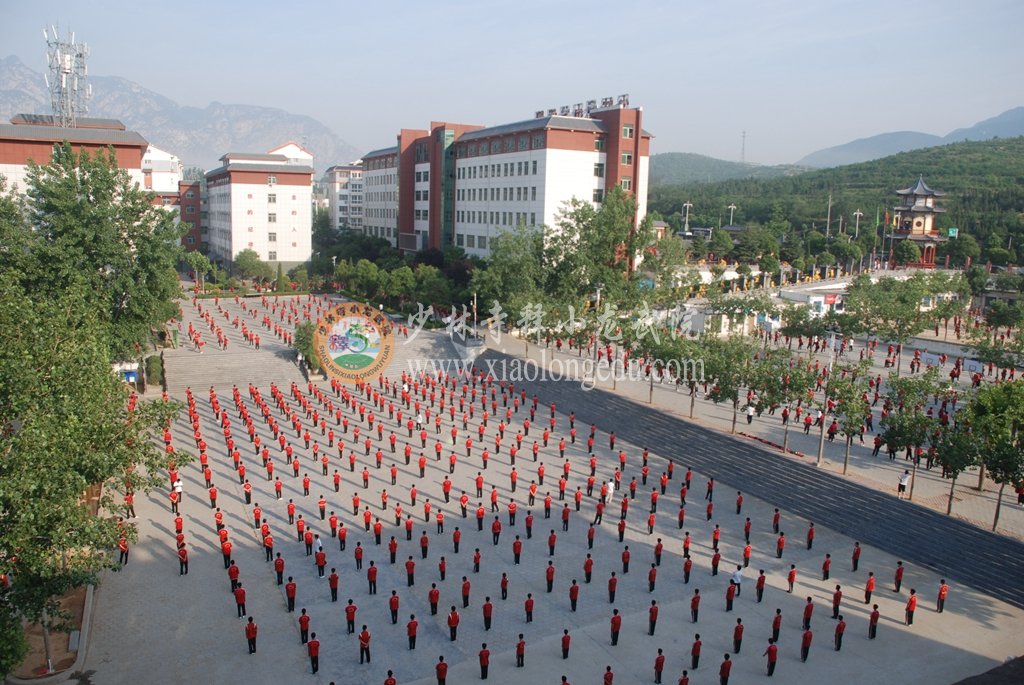 嵩山少林小龙武术学院图片