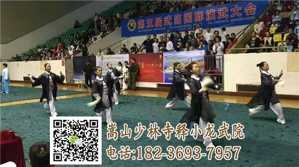 第五届武当国际演武大会