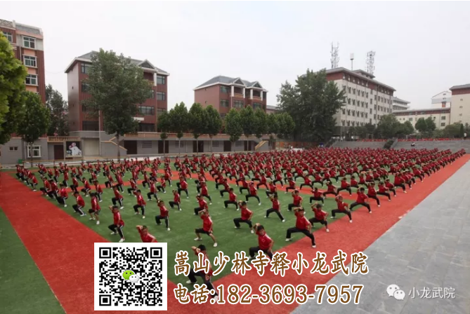 嵩山少林小龙武术学院