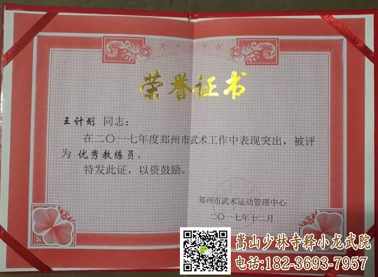 少林小龙武院王计划