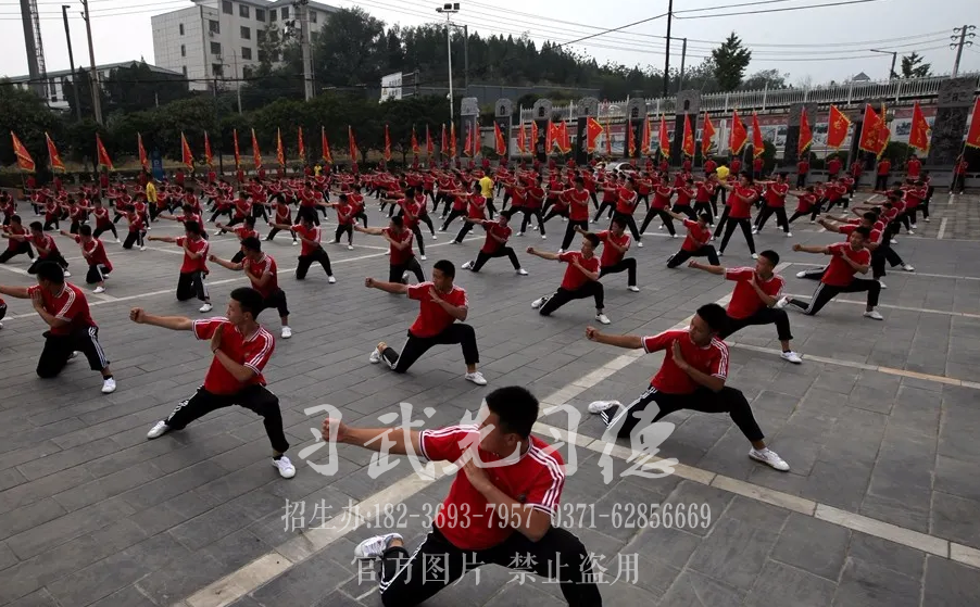 中国金鸡百花电影节,小龙武校